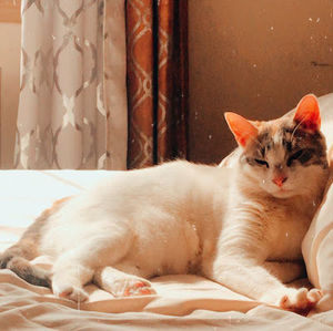 Meet your Posher, Nadyah